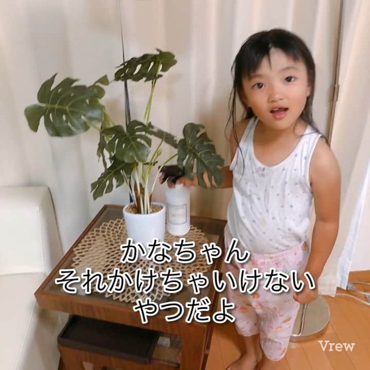 山内智恵のインスタグラム