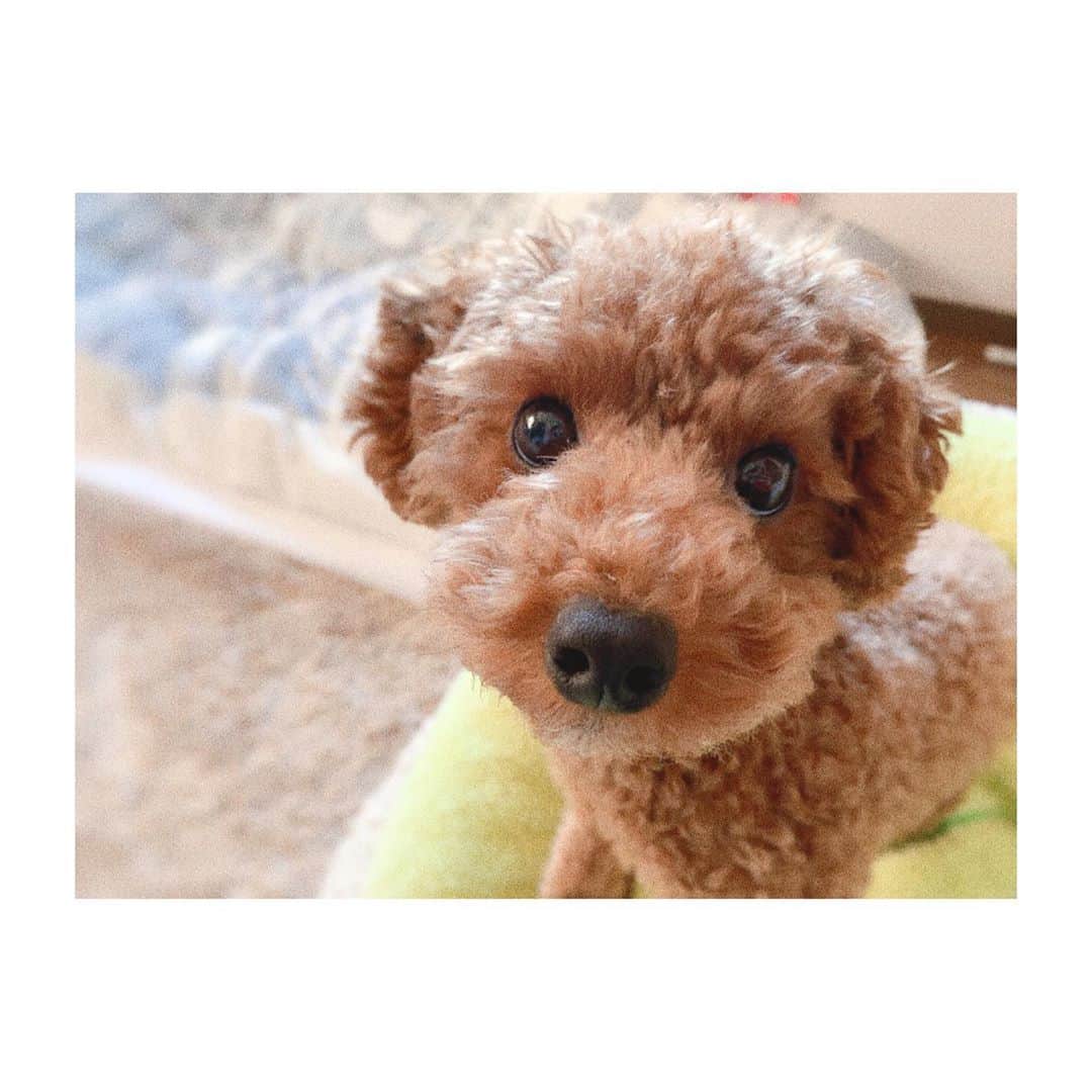 鈴木望のインスタグラム