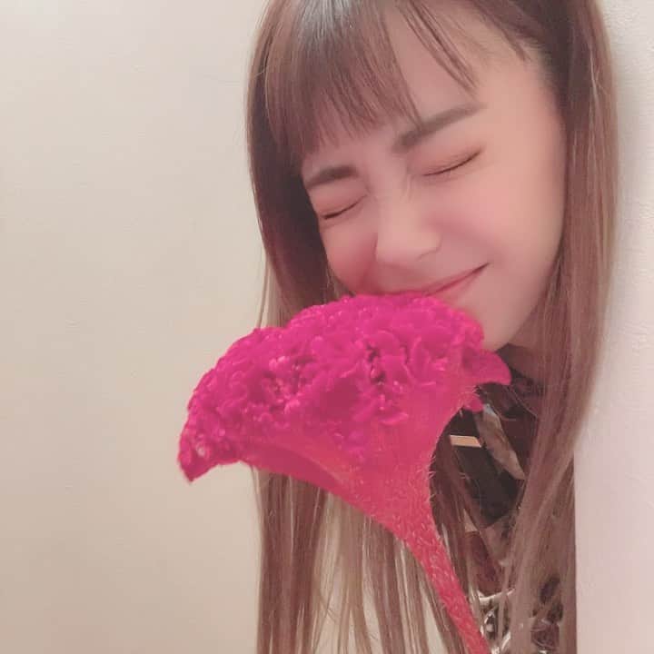 優美のインスタグラム