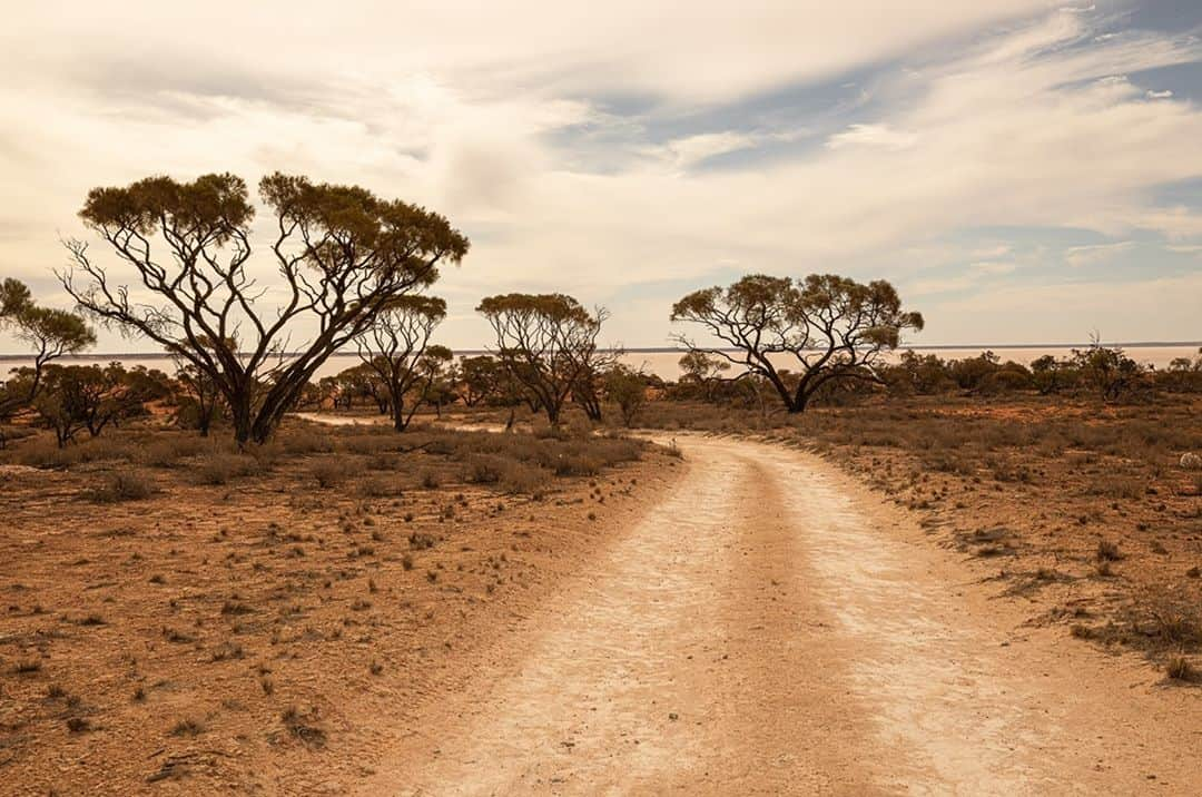 ライカさんのインスタグラム写真 - (ライカInstagram)「Jarle Hvidsten (@jarle_hvidsten_studio ) – Leica S3 in Australia   Scandinavian still photographer, Jarle Hvidsten, travelled Australia with the #LeicaS3, his approach being to document the feeling of being there rather than documenting what was actually there. Click the link in our bio to learn more.  #LeicaCamera #Leica #🔴📷」10月30日 0時00分 - leica_camera