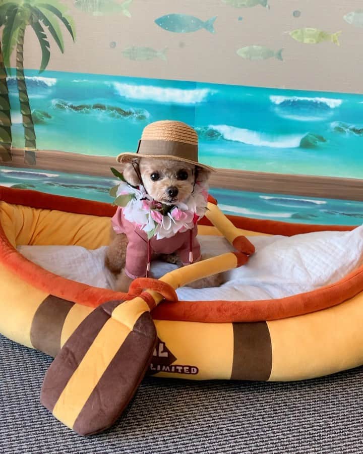 ❤︎Till❤︎のグルメインスタ