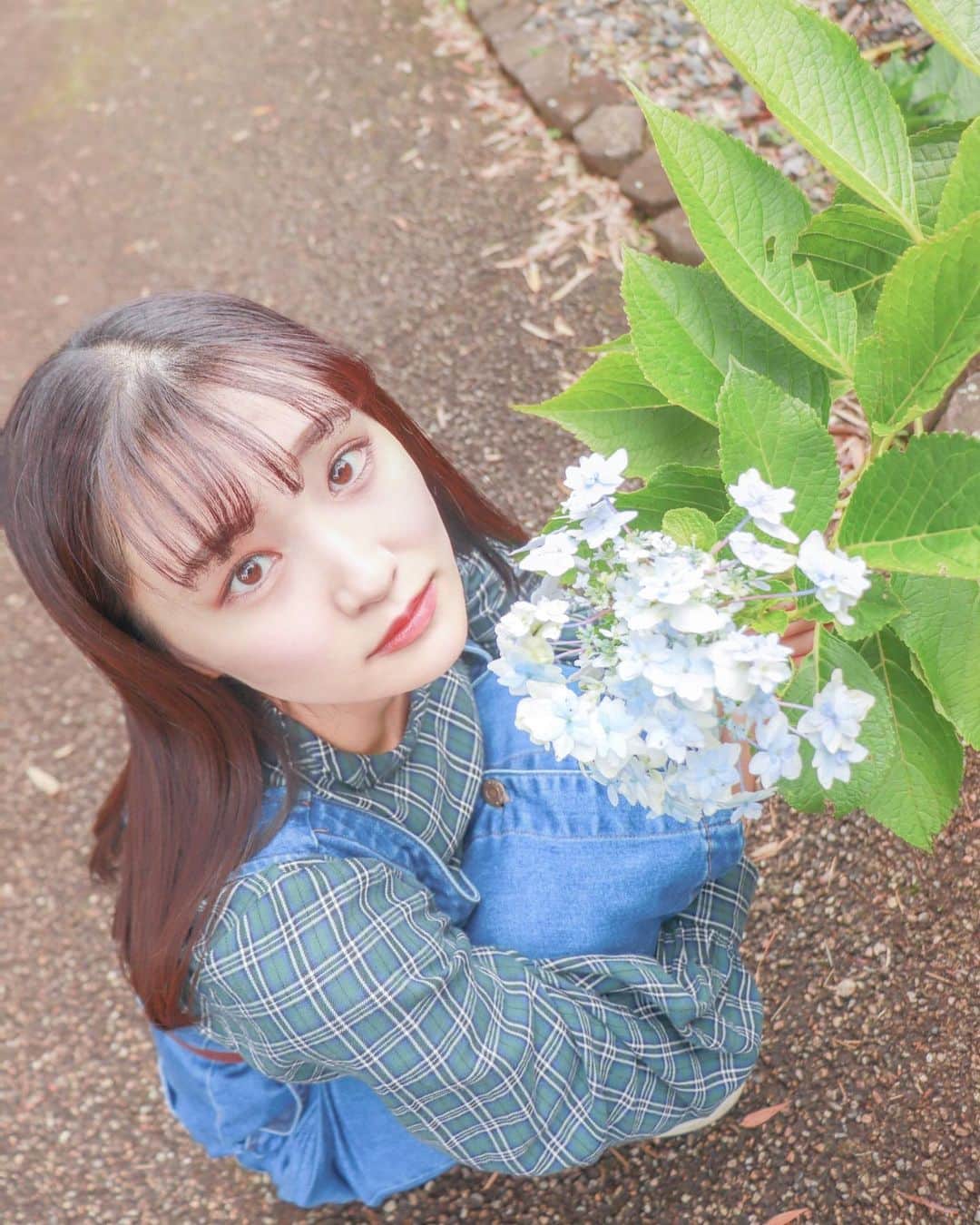 加藤早和子のインスタグラム：「❤︎ 下からサワコ 🤣🤣(笑)  季節外れな紫陽花が咲いてた📸  そういえば💡 紫陽花って色によって花言葉が違うらしいですよ…  photo by @rinsunflowers73   . . #青山学院大学 #女子大学生 #公園 #一眼レフ #ポートレート #ポートレート撮影 #ポトレ #被写体 #いいね返し #portrait #as_archive #portraitphotography #as_picture #team_jp #portrait_mood #portraittokyo」