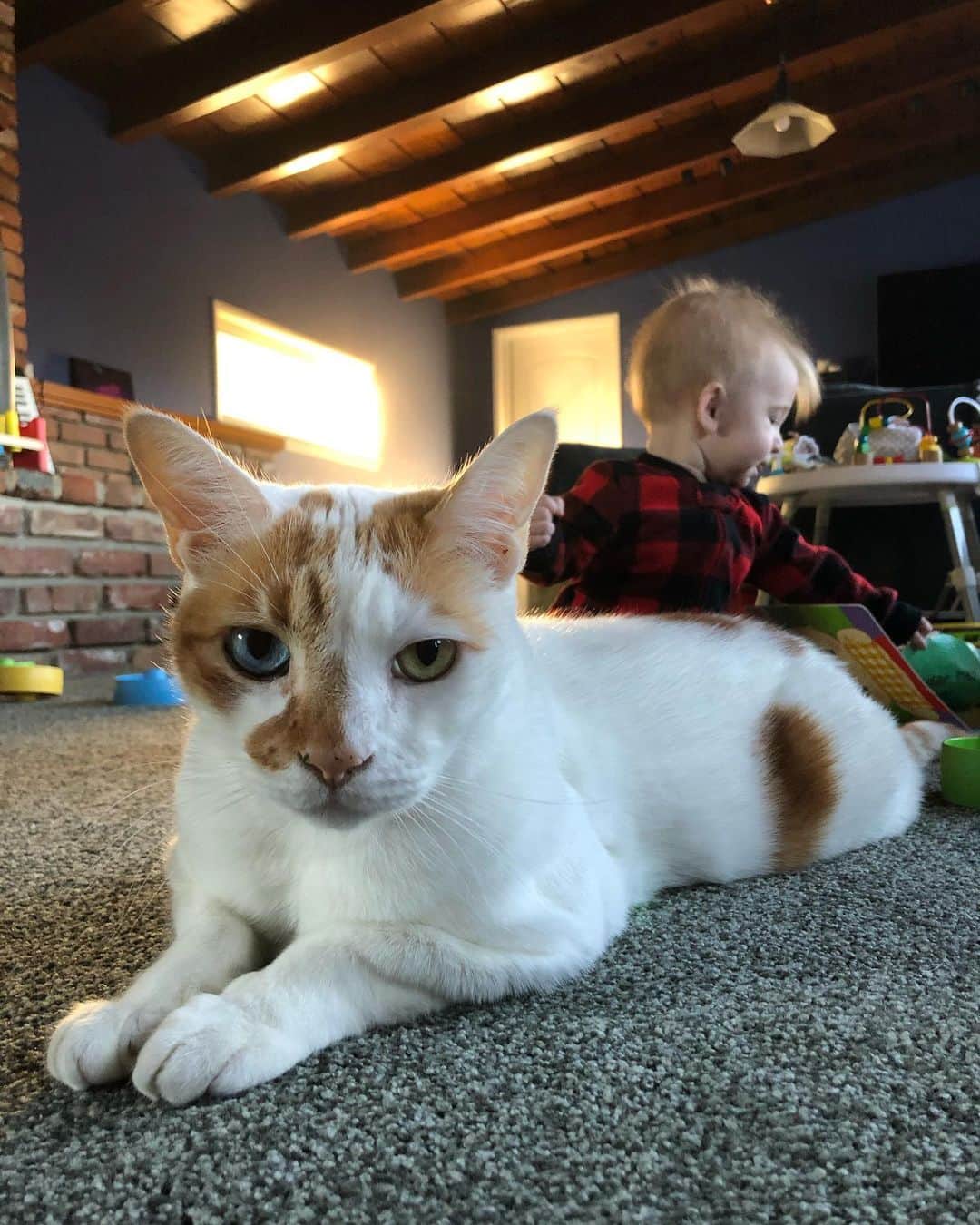 のインスタグラム：「Richard the babysitter 😹👶🏻」