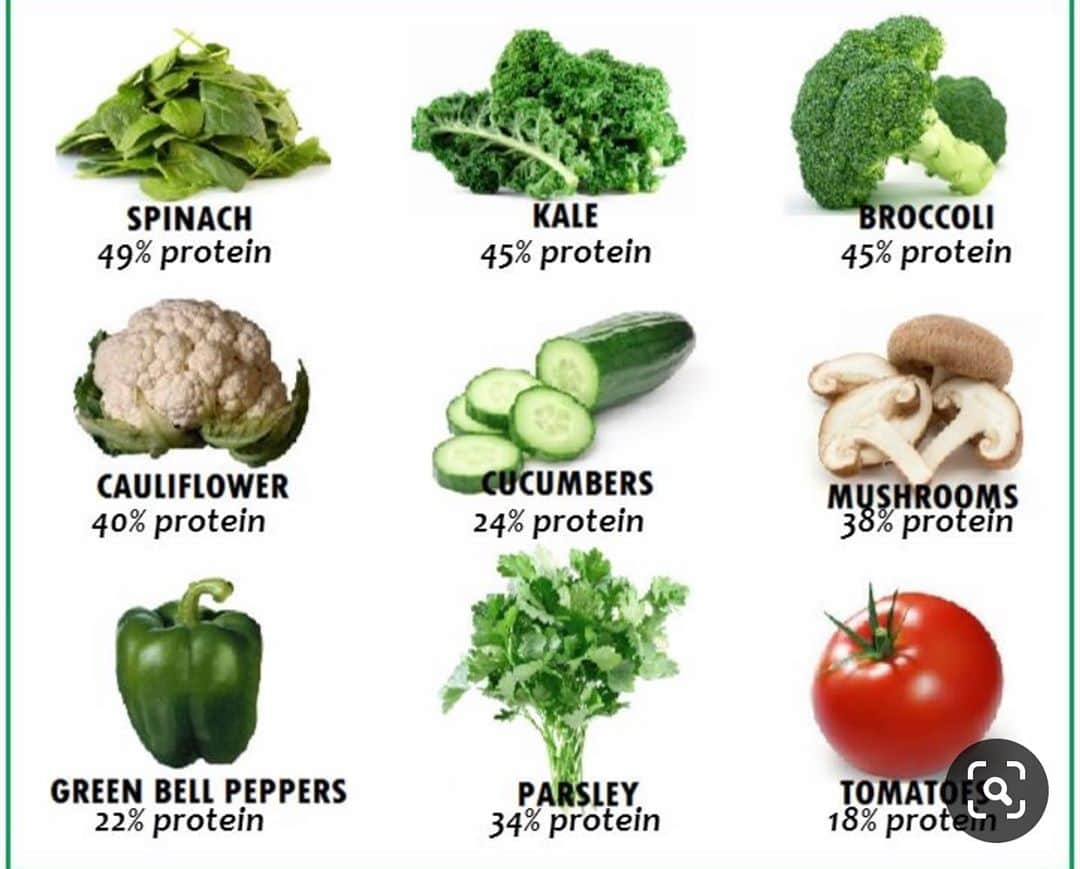 ブライアン・アダムスのインスタグラム：「The most tedious question when you switch to a plant based diet is “where do you get your protein”. The fact is you can get all you need in the plant kingdom, you simply don’t need to fish, meat or dairy to be healthy. Omega 3’s come from walnuts and flax seed and if you’re concerned about vitamin b12, you can take a supplement. Aside from helping yourself, switching to a plant based diet is actually helping the planet. Check out the #veganbodybuilding on Instagram! #plantbased #govegan 🌱」