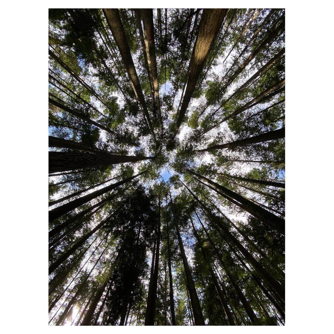 シャンテル・ヴァンサンテンのインスタグラム：「Finding space to take deep breaths. Needed to find quiet places. To still my heart. Root my body down. And let my soul wander for awhile. Hold onto the love...」