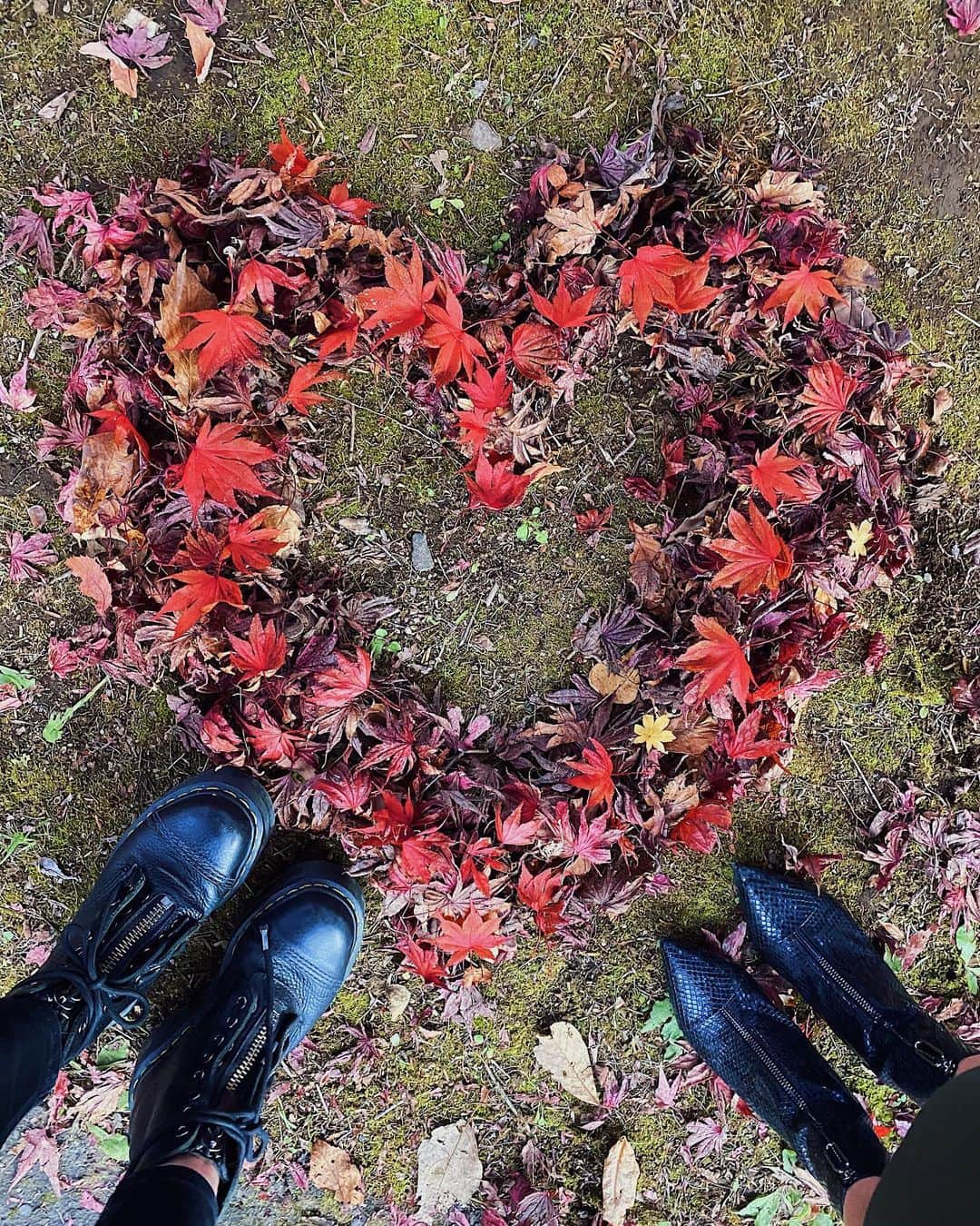 Rika Sasaki JPNさんのインスタグラム写真 - (Rika Sasaki JPNInstagram)「🍁💛🧡❤️ もえが落ち葉で♡作りたいと言って ワサワサと落ち葉を掻き集めだしたから ちょっとだけ手伝った🤏🏽笑 落ち葉でハートを作るって発想がもう かわいいよね🥺💓 私には1ミリも思い浮かばなかった🤯 思い浮かびたかった😇😇笑 @fujii_moe  ・ #紅葉 #落ち葉アート #秋 #autumnvibes🍁 #autumncolors  #autumnleaves  #photooftheday」10月30日 12時18分 - ymst_rika