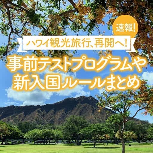 KAUKAU/カウカウハワイさんのインスタグラム写真 - (KAUKAU/カウカウハワイInstagram)「ハワイの現在の入国ルールや、事前テストプログラムなどについてまとめています！ 今後も随時更新していきますので是非ご覧ください😊 記事は最新のストーリー、またはこちらのリンクから！ https://www.kaukauhawaii.com/editornews/151441/  #Hawaii #honolulu  #HawaiiCoupon  #KAUKAU #kaukauhawaii #hawaiinews #covid19 #ハワイニュース #ハワイコロナ情報 #ハワイ入国情報 #カウカウ #カウカウハワイ」10月30日 12時26分 - kaukau_hawaii