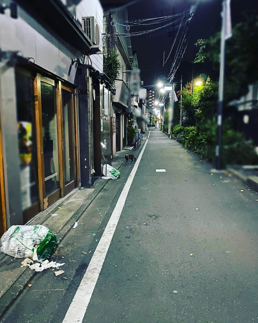 森恵のインスタグラム