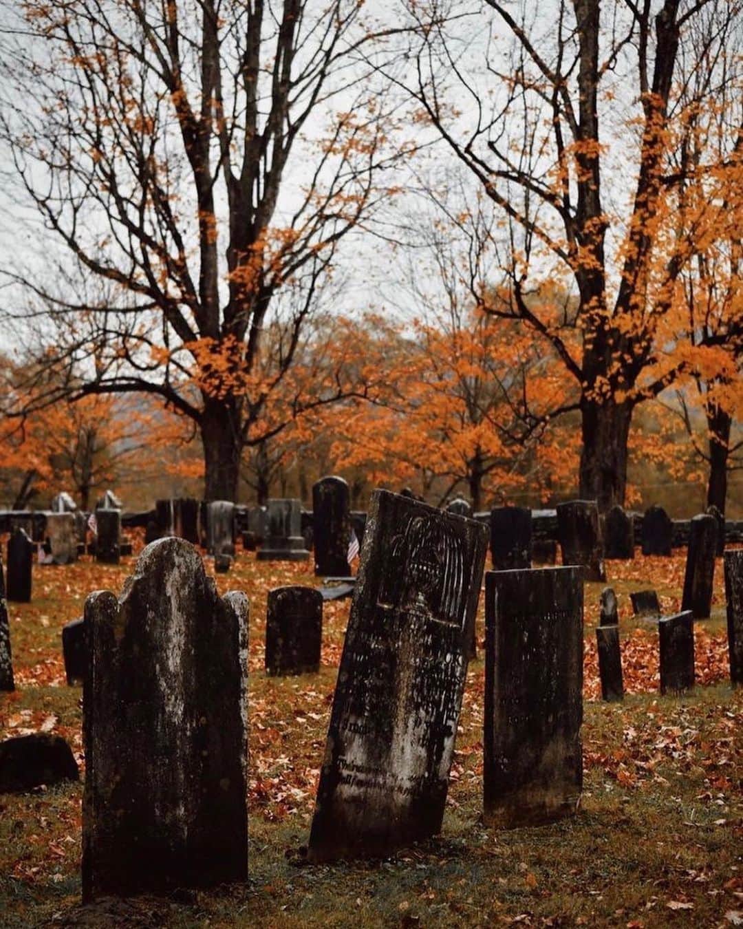 FOLKのインスタグラム：「@pine.and.proper getting me in that Halloween spirit. Have you seen her in our fall issue yet? Get it now before it’s sold out. www.folkgeneral.com #liveauthentic」
