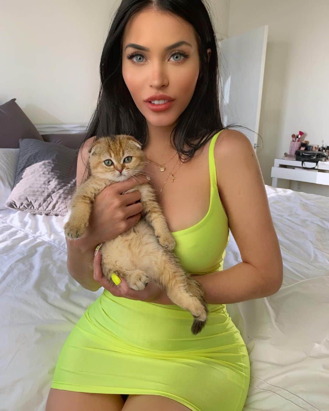 のインスタグラム：「Baby Sophie 🐈 they grow up so fast 😢 thinking of getting her a friend #cats」