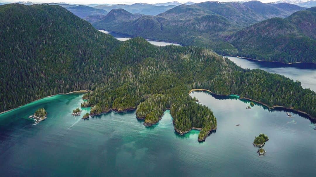 patagoniaさんのインスタグラム写真 - (patagoniaInstagram)「Southeast Alaskans overwhelmingly support keeping the Tongass National Forest roadless and protected from logging. But the Trump administration announced yesterday it will open up all 16.7 million acres of the world’s largest intact temperate rainforest to logging and other forms of development. This threatens the livelihoods of southeast Alaskans, endangers a critical ecosystem and furthers the climate crisis.⁠ ⁠ Read more about the Tongass National Forest on The Cleanest Line through the link in bio. ⁠ ⁠ Photo: @leeehows  Words: @adaktug」10月30日 5時30分 - patagonia