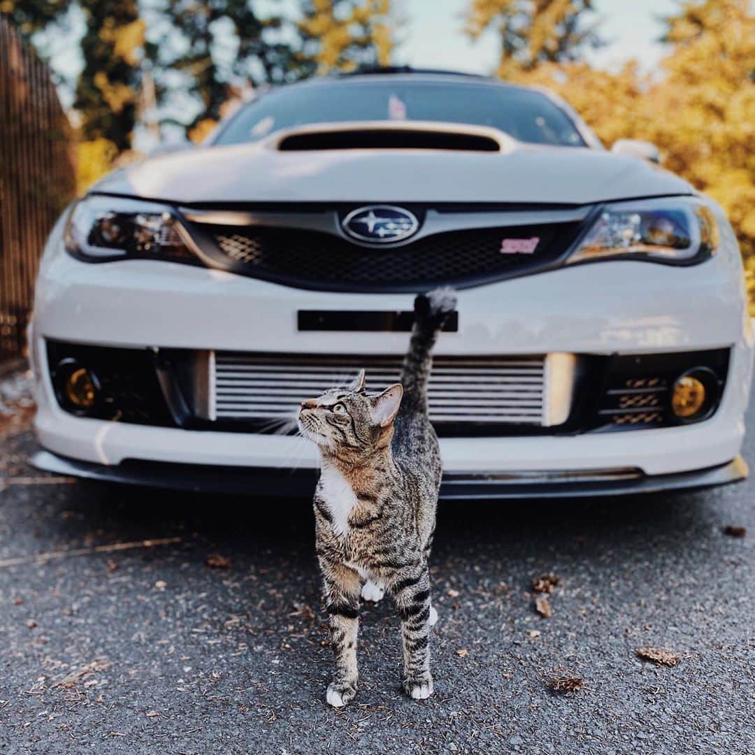 Subaru of Americaのインスタグラム