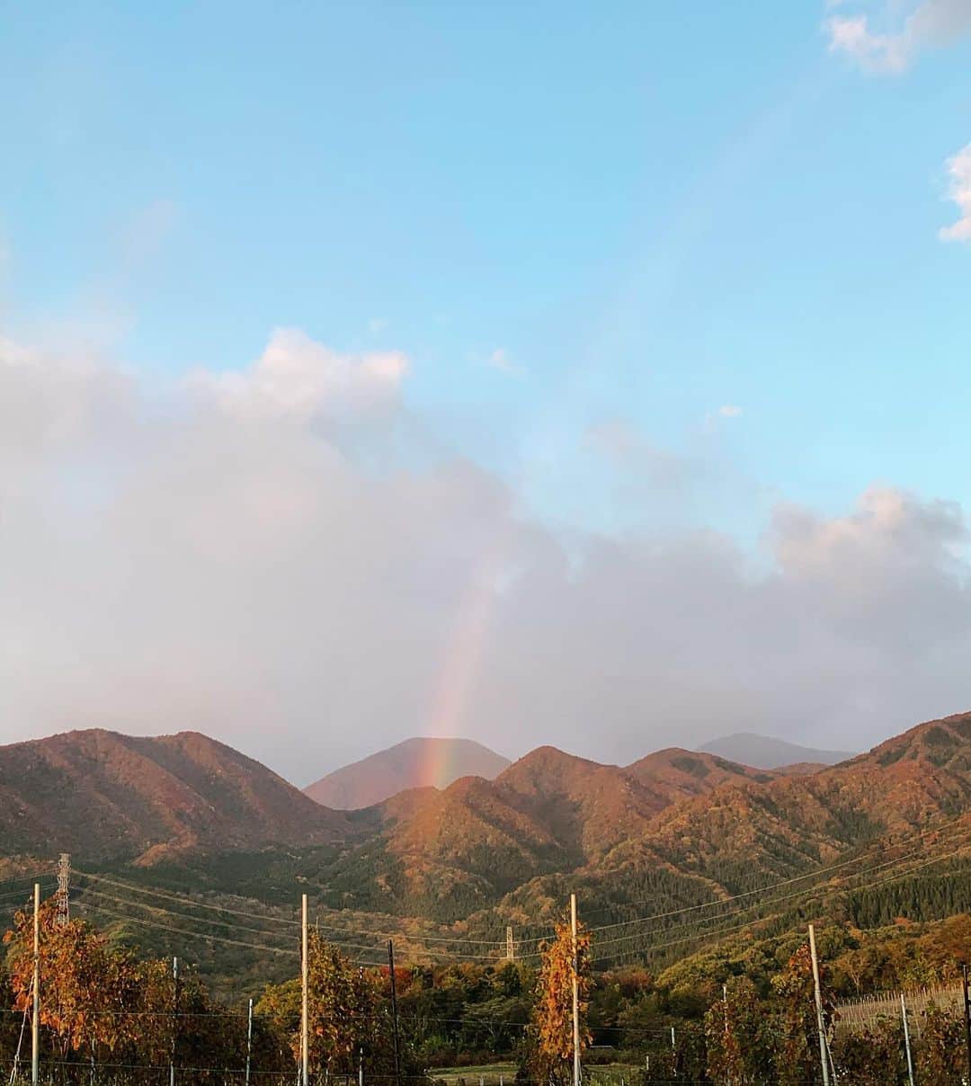相澤樹さんのインスタグラム写真 - (相澤樹Instagram)「今朝は虹の始まりの場所に出会いました。雨から晴れに変わる瞬間は本当に気持ちが洗われます。素晴らしい一日になりますように！」10月30日 7時54分 - mikitiaizawa