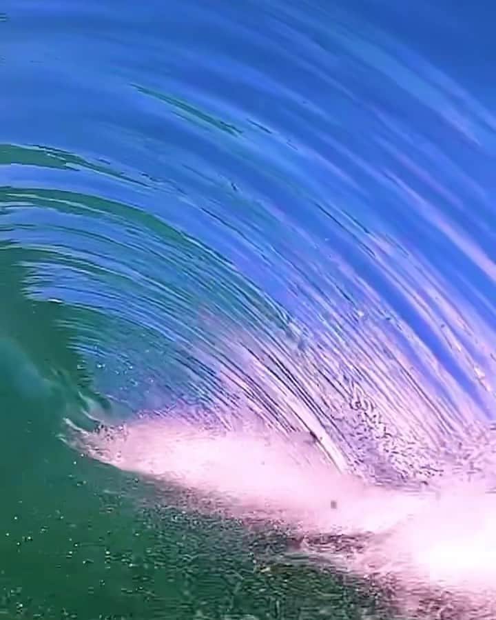 Robbie Crawfordのインスタグラム：「Pretty @smkflwr #GoPro」
