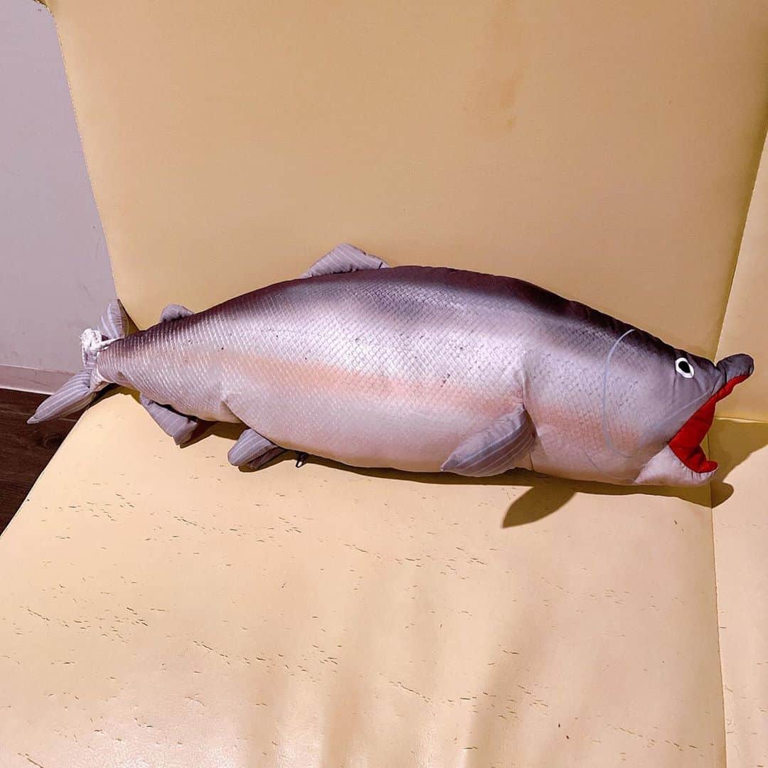 石田燿子さんのインスタグラム写真 - (石田燿子Instagram)「お誕生日プレゼントにって、まっすーマネがくれたやーつ🎁 お、おう、、魚卵好きなわたしにぴったりのアイテム😍しかしちょっとキモ、、いや、ありがとう。 #新巻鮭 #実は #ネックピロー」10月30日 8時08分 - yokonti