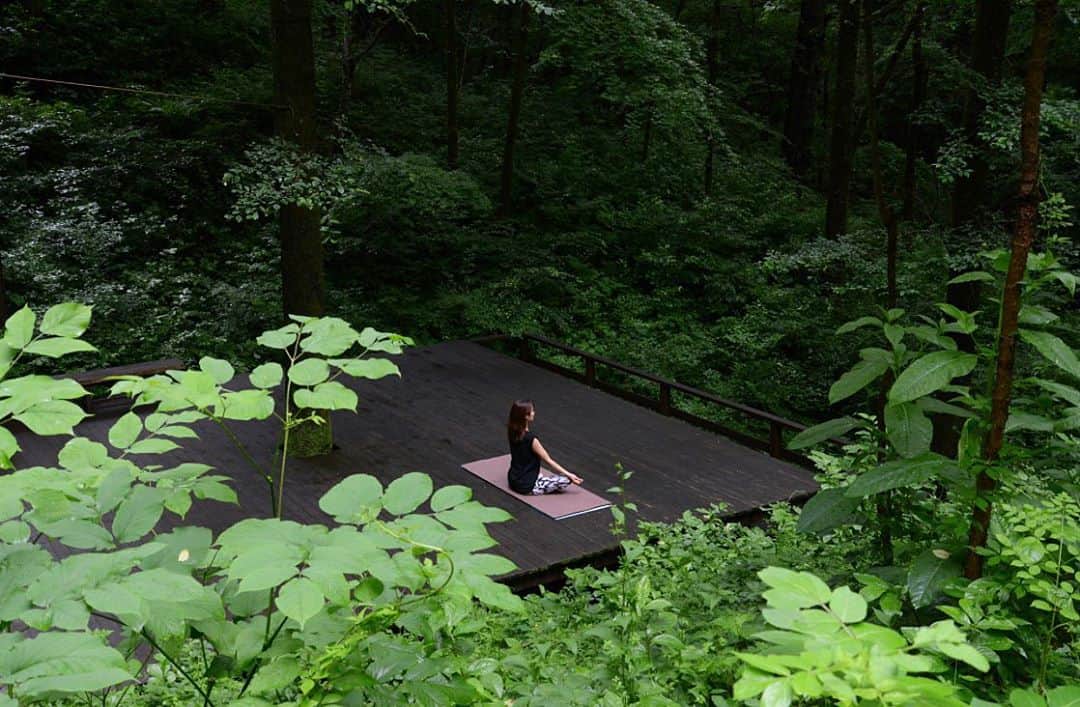 内山理名さんのインスタグラム写真 - (内山理名Instagram)「🌏🧘‍♀️🍃 ・ #meditation  #goodmorning  #hoshinoresorts」10月30日 8時51分 - rinauchiyama_official