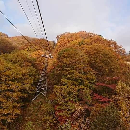 栂池高原スキー場さんのインスタグラム写真 - (栂池高原スキー場Instagram)「おはようございます。 今朝の栂池高原は曇り空、気温 1.4℃です。  ゴンドラ車窓からの紅葉が目に飛び込んできます。 雲の隙間からは真っ白な山肌がちらほらと。  暖かい服装でお越しください。  https://www.tsugaike.gr.jp/  #栂池高原 #栂池 #栂池自然園  #観光地 #長野 #トレッキング #秋のスキー場 #tsugaike #tsugaikekogen #hakuba #otari #hakubavalley #trecking #hiking #山好きな人と繋がりたい #冠雪 #白馬三山 #雪化粧 #ゴンドラ #ロープウェイ」10月30日 8時44分 - tsugaike_kogen