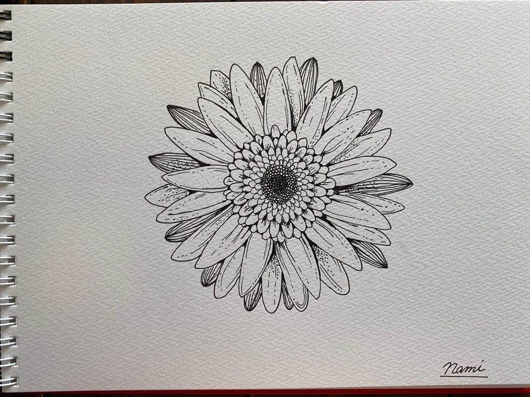玉置成実さんのインスタグラム写真 - (玉置成実Instagram)「おはようございます。  早起きしたので #朝活 。 ふと、お花が描きたくなったので🌼  #drawing #flower」10月30日 9時39分 - nm_tmk
