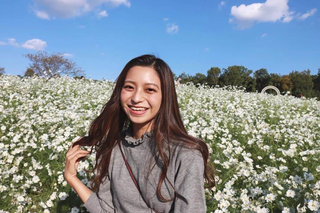 のインスタグラム：「おはようございます☀﻿ ﻿ 今日は学校でゼミの卒業アルバム用の撮影があります✨﻿ 晴れてくれて良かったです😊﻿ ﻿ 写真は白いコスモスを背景に撮ったものです💞﻿ ﻿ #ミスキャンパス同志社女子2020﻿ #同志社女子大学﻿ #ファイナリスト﻿ #ミス同女﻿ #ミスキャン ﻿」