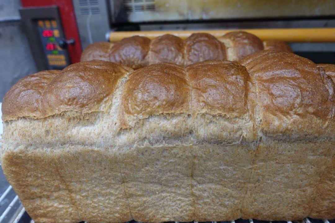 魔女菅原のグルメインスタ