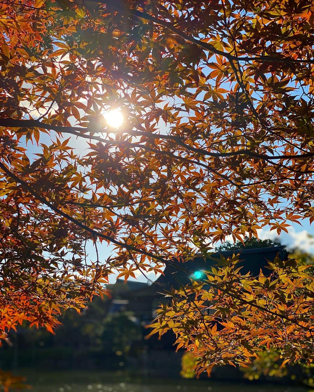 大石絵理のインスタグラム：「kyoto🍁」
