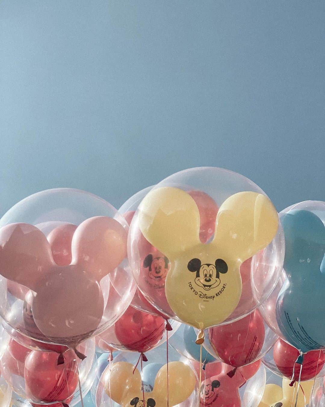 Manamiのインスタグラム：「🎈🐭🎈  ドレスコードとか決めちゃって🤭👖 最高なお天気で楽しめました🌞  チケットは1ヶ月前には普通に買えたよ🙆🏼‍♀️ パーク内では撮影と食事以外ではマスク必須👌🏽 早い時間だと入場制限で人も少ないし、 シンデレラ城の横と後ろは人が全然いなくて穴場🏰 次はSEAに行きたいなぁ🚢💓  最後の動画は、 音楽が聞こえてくると体が勝手に踊りだしてしまう 愉快な変態たち💃🏼🕺🏻💃🏼🕺🏻」