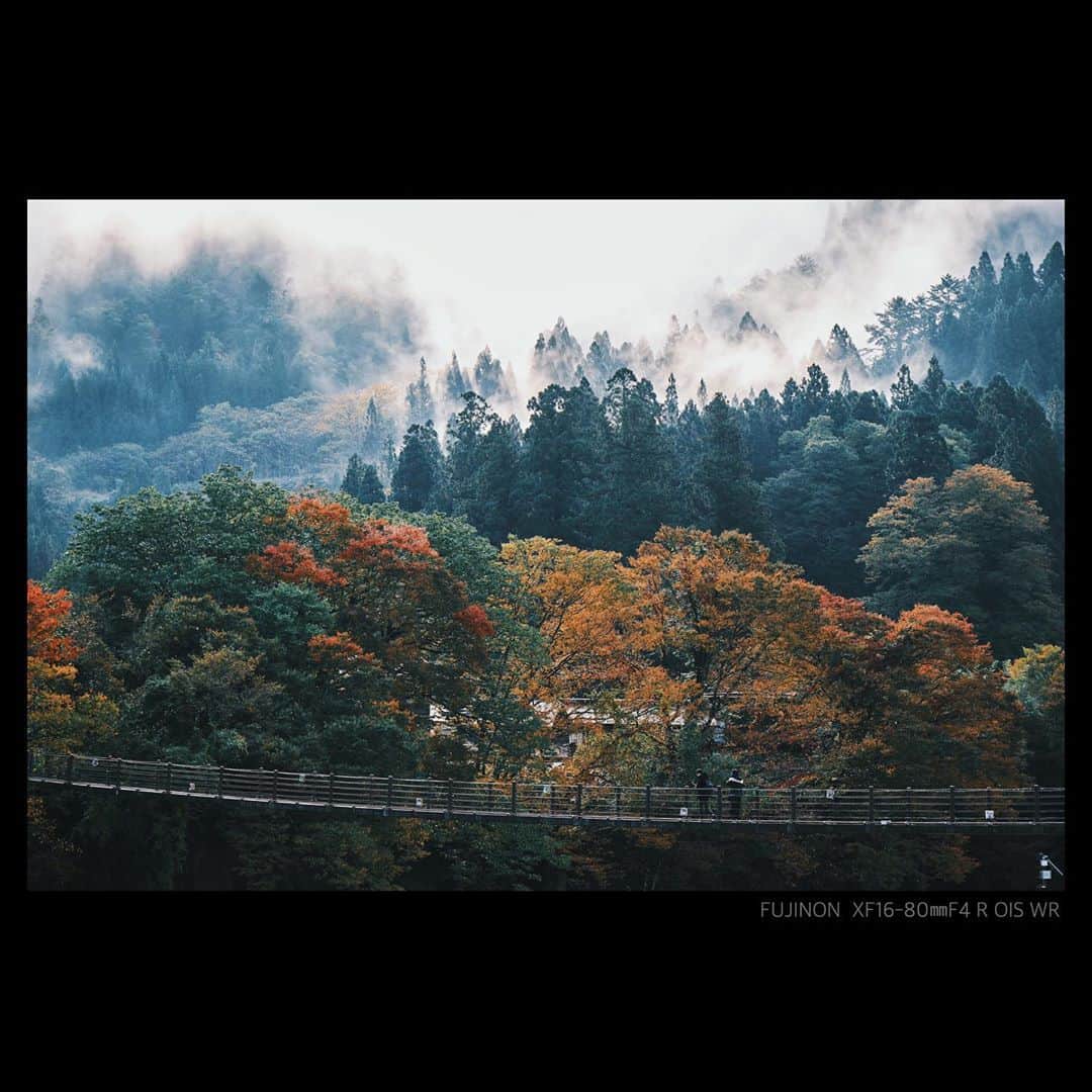 plus_thinkingさんのインスタグラム写真 - (plus_thinkingInstagram)「色づく里山 . #snapJapan #beautifuljapan」10月30日 20時23分 - plus_thinking
