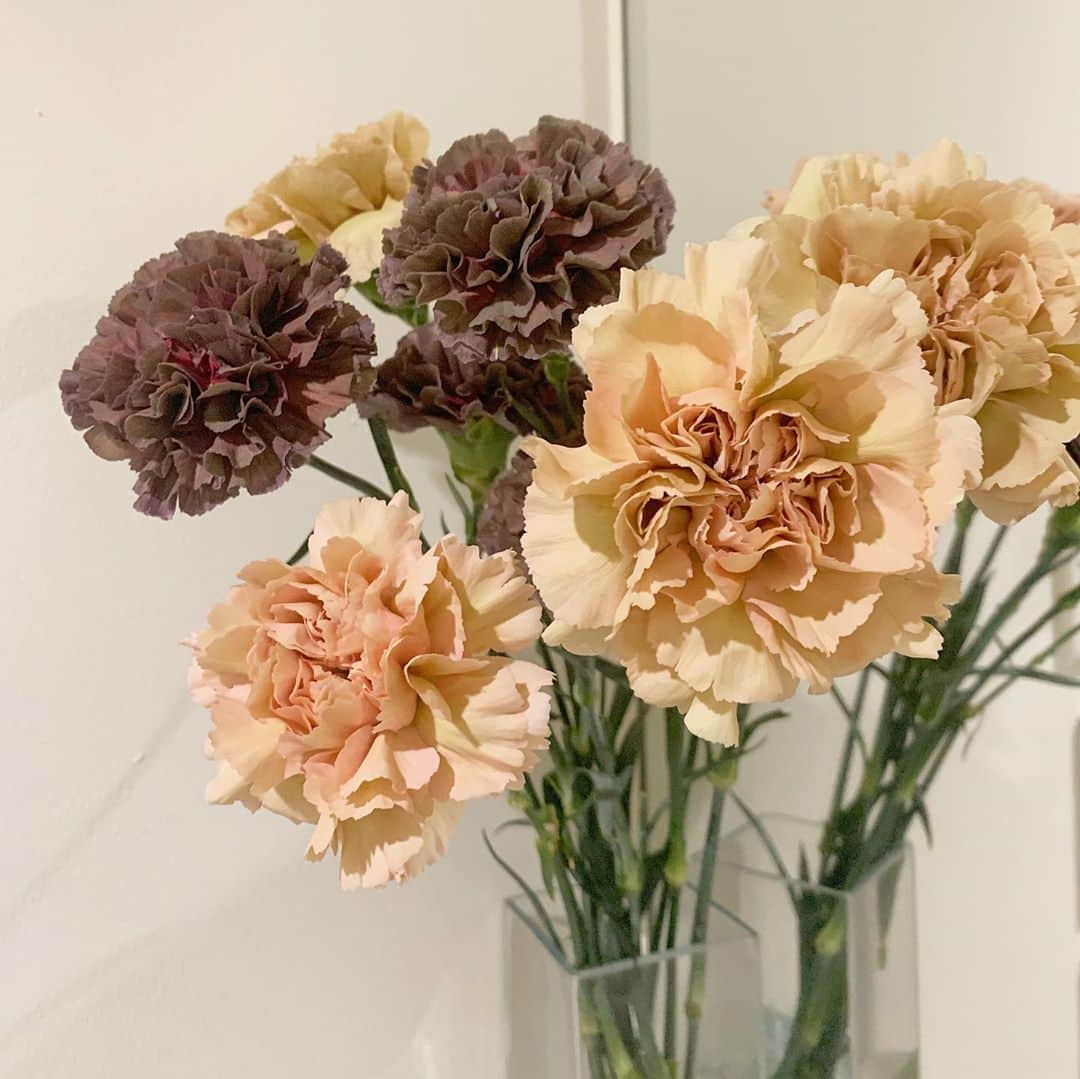 朝長美桜さんのインスタグラム写真 - (朝長美桜Instagram)「ユニクロのお花屋さん💐﻿ ﻿ 珍しいカラーのお花があって可愛かったなぁ🌼﻿ ﻿ お花をお部屋に飾ると、明るくなるし気分も変わります🥰💕💕﻿ これから、ユニクロのお花屋さんに通おうと思います☺️🤍﻿ ﻿ #ユニクロ#UNIQLO#ユニクロフラワー」10月30日 21時01分 - miochan_0517