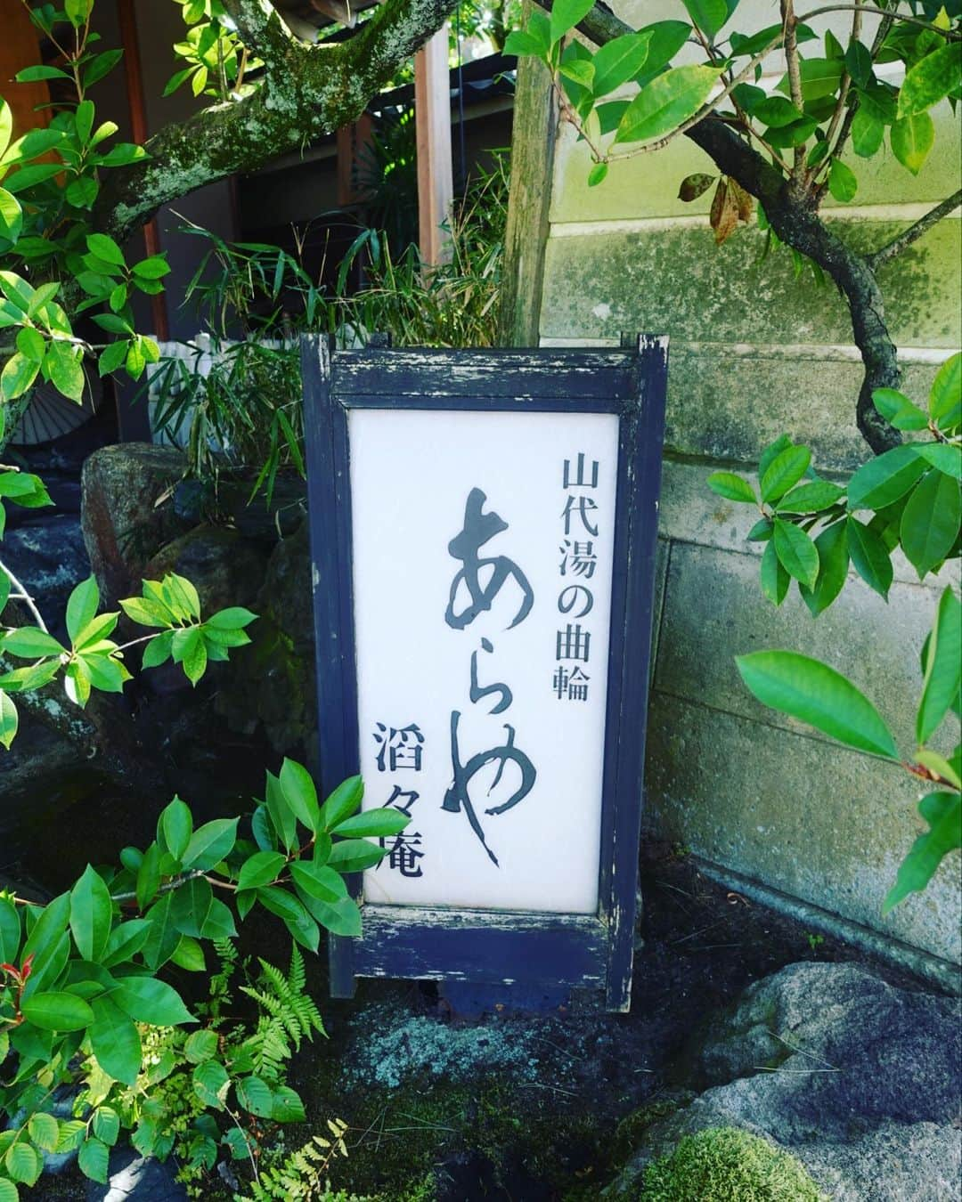 平井喜美さんのインスタグラム写真 - (平井喜美Instagram)「📍あらや滔々庵﻿ ﻿ 北大路魯山人ゆかりのお宿ということで魯山人の作品や、歴史的遺産が至る所にあり、美術館みたく上品な雰囲気のお宿でした。﻿ ﻿ なんといっても全館畳敷でスリッパ不要。﻿ 🦶のサイズが小さい私にとってはスリッパは前の隙間から半分は足がはみ出る為、そのまま歩けて最高でした♡﻿ ﻿ また宿名通り温泉が「とうとう」と源泉を豊富にかけ流しているとの事で、これまでに私が泊まった経験のある加賀温泉のお宿の中で1番温泉がよく感じました🧖‍♀️♨️﻿ 📍ゆのくに天祥﻿ 📍星野リゾート界加賀﻿ 📍べにや無何有🍽﻿ 📍あらや滔々庵♨️﻿ ﻿ ﻿ #あらや滔々庵 #北大路魯山人 #加賀温泉  #山代温泉 #石川県」10月30日 21時07分 - yoshimi1111