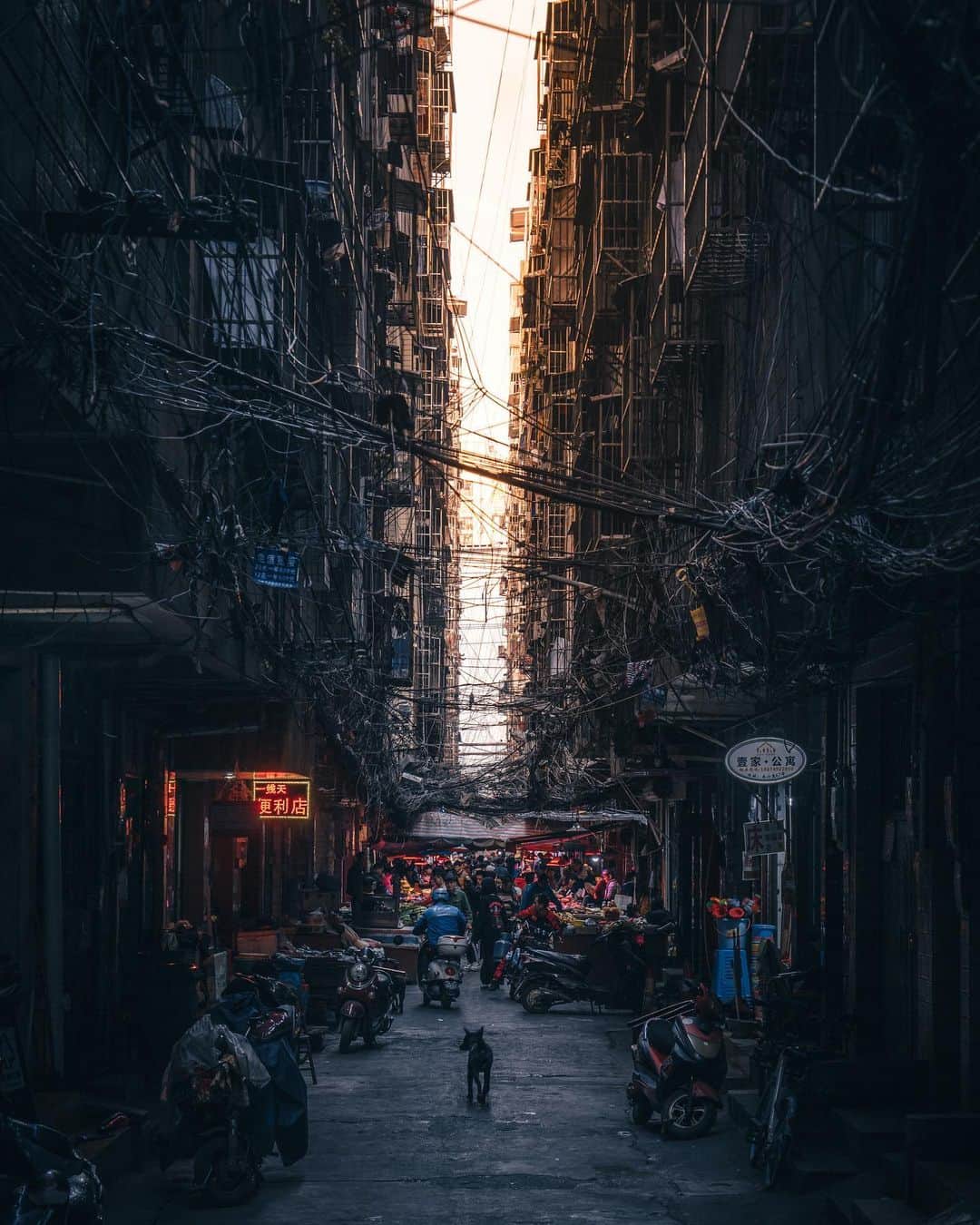 R̸K̸のインスタグラム：「The day market is an important place in the lives of commoners. Not just normal daily life, but includes rich humanistic spirit in the Asia history. #hellofrom Nanning china ・ ・ ・ ・  #earthfocus #earthoffcial #thegreatplanet #discoverearth  #awesome_earthpix #roamtheplanet #ourplanetdaily #livingonearth #theweekoninstagram  #theglobewanderer #visualambassadors #stayandwander #welivetoexplore #IamATraveler #TLPics #depthobsessed #voyaged #sonyalpha #bealpha #aroundtheworldpix #moodygrams #artofvisuals  #streets_vision #cnntravel #complexphotos #d_signers #lonelyplanet #luxuryworldtraveler @sonyalpha @hypebeast @highsnobiety @lightroom @soul.planet @earthfever @9gag @500px @paradise」