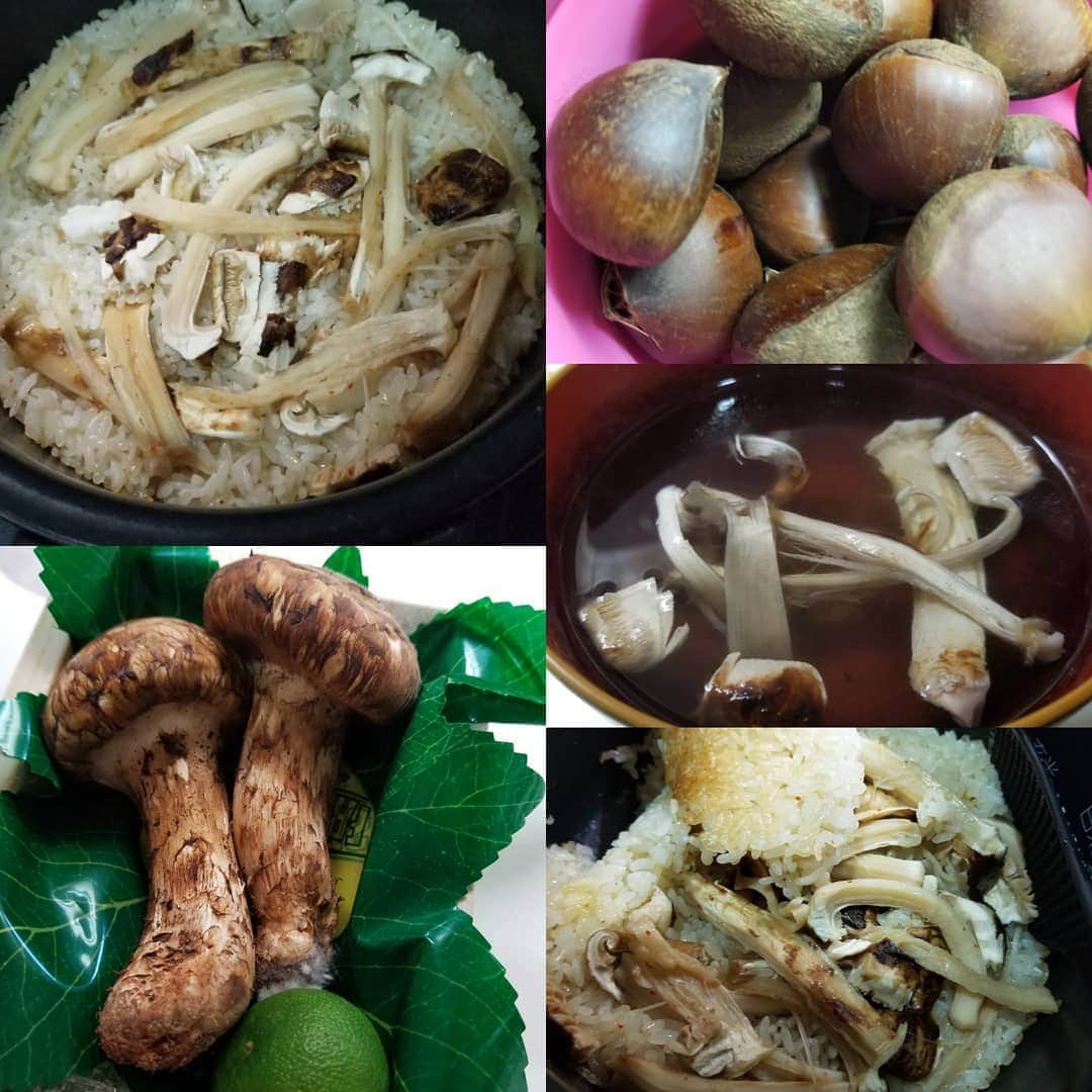 宇月田麻裕さんのインスタグラム写真 - (宇月田麻裕Instagram)「やはり、季節。旬のものは美味しい☺️ 松茸と栗を買ってきたので、風味と味が落ちる前に、早速、食べる！ #松茸ご飯お焦げコースで炊く #松茸のお吸いもの　 #ゆで栗🌰  #まつたけご飯」10月30日 21時30分 - mahiro_utsukita