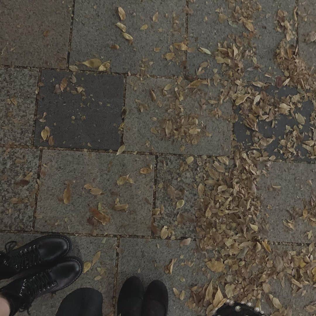 河本景さんのインスタグラム写真 - (河本景Instagram)「🍂」10月30日 21時32分 - onkeikein
