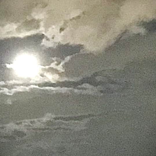 土屋眞弓のインスタグラム：「待宵の月✨✨✨  #待宵の月  #moon」