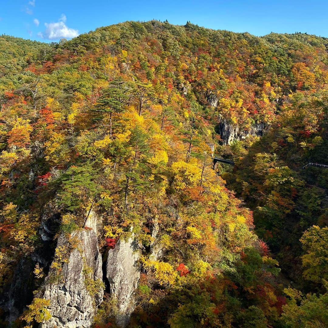 bon ponさんのインスタグラム写真 - (bon ponInstagram)「宮城県大崎市にある鳴子峡（なるこきょう）に紅葉を見に行って来ました🍁🍂🍁⛰ 鳴子峡は、大谷川に刻まれた深さ100ｍのV字型峡谷が約2.5kmに渡って続く風光明媚な景勝地。栗駒国定公園に含まれており、紅葉の名所として知られています。 平日にかかわらず、大勢の観光客で賑わっていました。 ＊ 大深沢遊歩道をノルディックウォーキング🚶🚶‍♀️ あづまやで一休みして、持参したおにぎりを食べました🍙 遊歩道には、所々に宮城オルレのトレッキングコースの案内標識(木の枝に結びつけられた赤と青のリボン・馬の形をしたカンセ・赤と青の矢印)がありました❤️💙 日が陰ると肌寒くなり、レストハウスで熱々のきのこ汁を食べました。具がたっぷり入っていて、とても美味しかったです👍 ・ ・ #鳴子峡 #紅葉 #紅葉狩り#ノルディックウォーキング #夫婦 #60代 #ファッション #コーディネート #リンクコーデ #夫婦コーデ #グレイヘア #白髪 #共白髪 #couple #over60 #fashion #coordinate #instafashion #instagramjapan #greyhair #grayhair #bonpon #bonpon511」10月30日 21時35分 - bonpon511