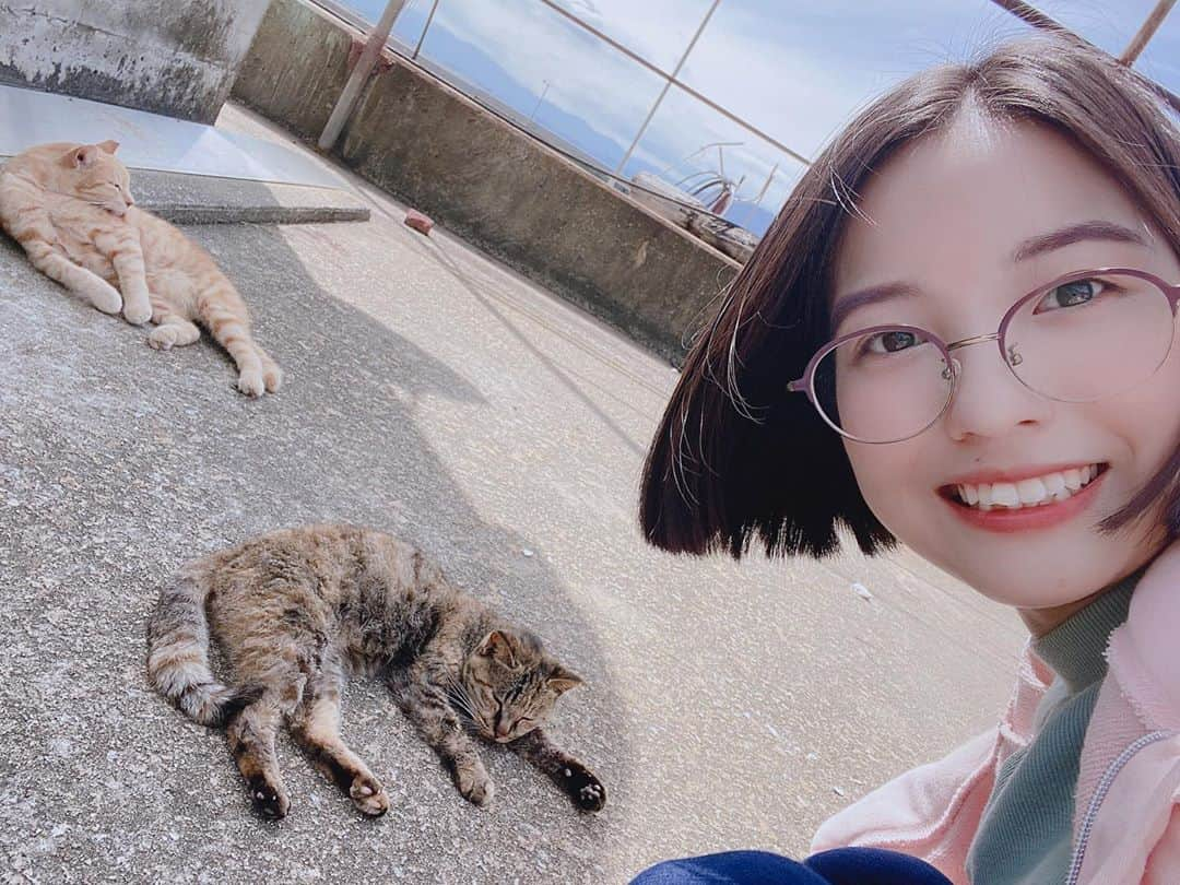 春瀬なつみさんのインスタグラム写真 - (春瀬なつみInstagram)「. 男木島の猫。 地域の方が去勢手術をしたり名前をつけたりして、大切に見守っています。 . そのおかげで人が近づいてもいつも通りくつろいでいるので、猫にとっても天国なのかもなあって思っていました。 . ◯お知らせ◯ ちよちーこと都丸ちよちゃんからご紹介いただいて、 芸人のヴェートーベンさんのオンラインイベントにお邪魔することになりました！ 11/9 月曜日22時〜、 私は22時50分ごろに出演する予定です。 . お楽しみに☺️✨ . #男木島  #男木島の猫」10月30日 13時12分 - haruse_natsumi