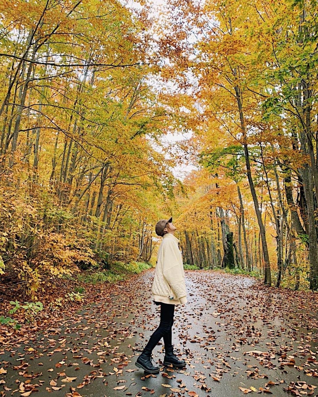 池上紗理依さんのインスタグラム写真 - (池上紗理依Instagram)「紅葉の写真がたくさん🍁」10月30日 13時28分 - sarii_ikegami