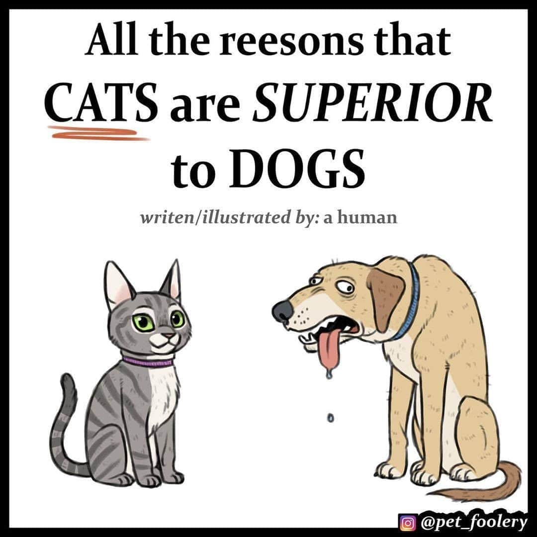 9GAGさんのインスタグラム写真 - (9GAGInstagram)「They had us in the first half, not gonna lie. ✍🏻 @pet_foolery - #comic #pets #cat #dog #9gag」10月30日 14時06分 - 9gag