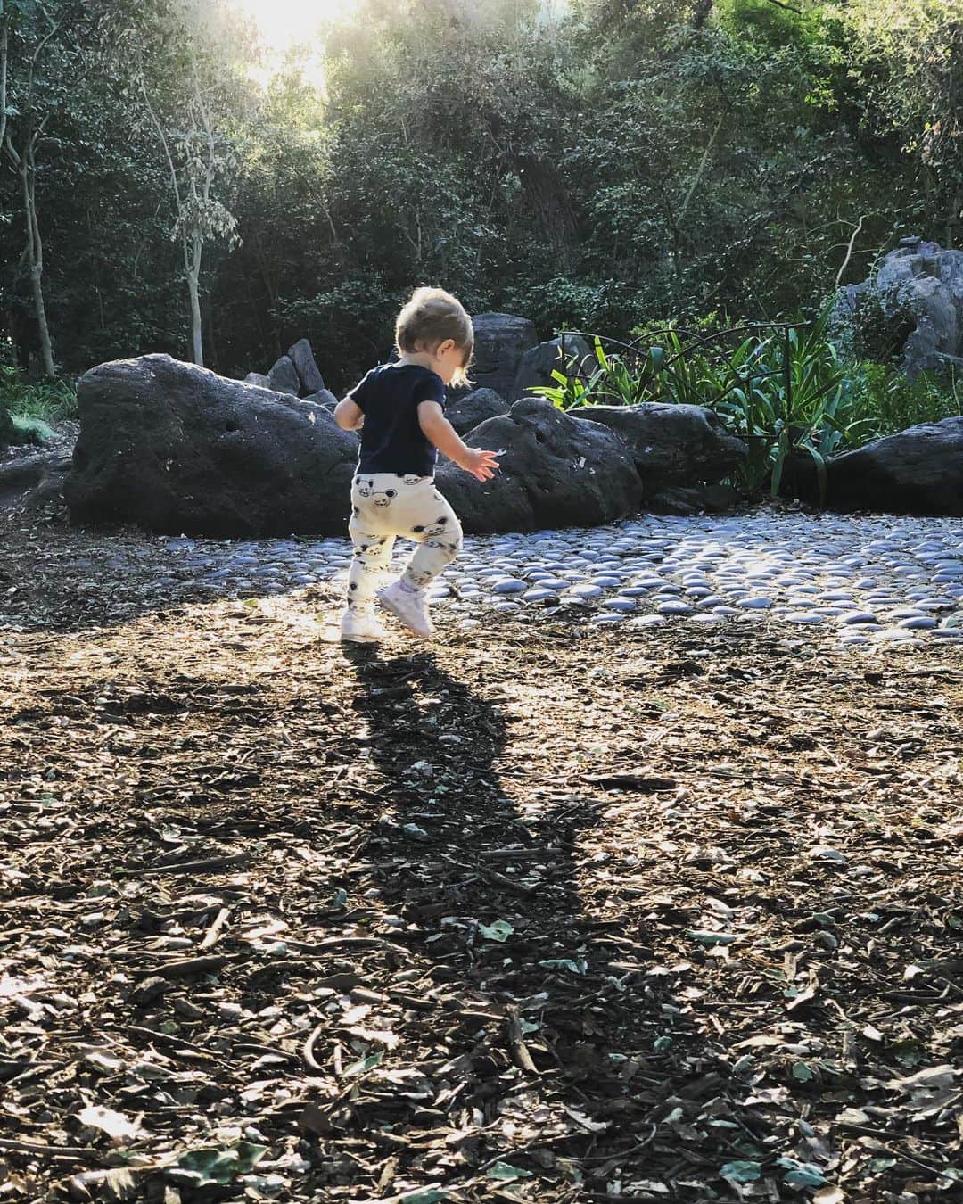 のインスタグラム：「My little #doratheexplorer  ————— Today he didn’t let me hold his tiny hand...he wanted to explore.  It was heartbreaking and beautiful all at the same time. He’s growing up so fast. I encourage his independence, I want his spirit to soar, but Lord does it hurt.  ————— Any other parents feel this way? . . #deivfmama #deivf #ivfwarrior #ivfsurvivor #donorconception」