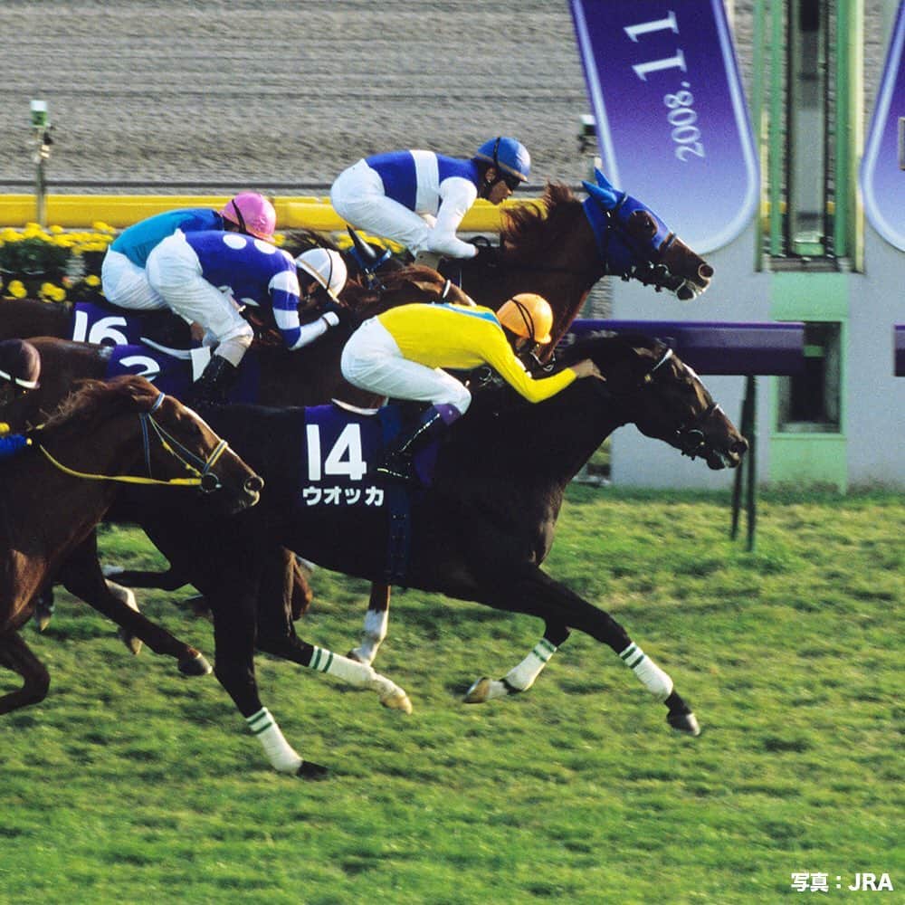 umabi_officialのインスタグラム：「今週末は、天皇賞(秋)(GI)  #2008年の優勝馬は #ウオッカ #ライバルである #ダイワスカーレット との #大激闘 #長い長い写真判定の結果 #ウオッカに軍配が上がる #その差はわずか #2cm #うまび #天皇賞秋」