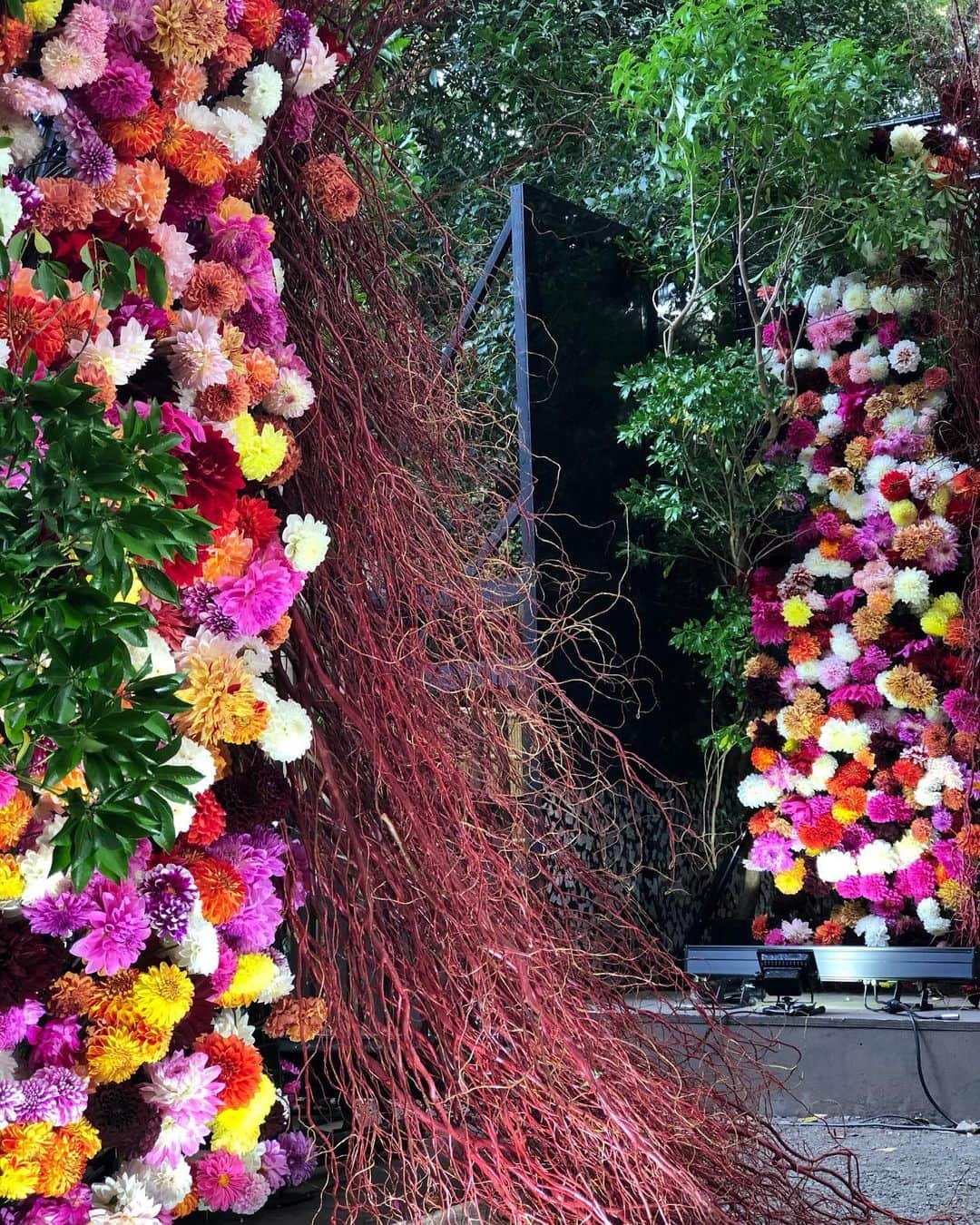 進藤やす子のインスタグラム：「✳︎ 打ち合わせ終わりで、#神宮の杜芸術祝祭 へ。 ちょうどこの週末が鎮座100年の大祭なので、今日30日から3日間夜間も参拝できるそう。 . 出店とか無いのが寧ろ厳かで良いかも。 . でも参道に明治天皇と明治時代のあれこれが描かれた大きなボードが掲げられていて、かなり興味深く読めるので私のような老眼は明るい時間がいいかもね😅 . . #100パーセントsoかもね  #明治神宮鎮座百年祭  #明治神宮鎮座百年大祭　 #芸術の秋」