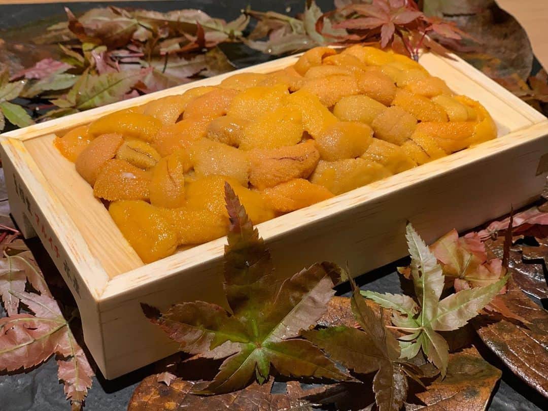 炭火焼肉BISTRO山城牛のグルメインスタ