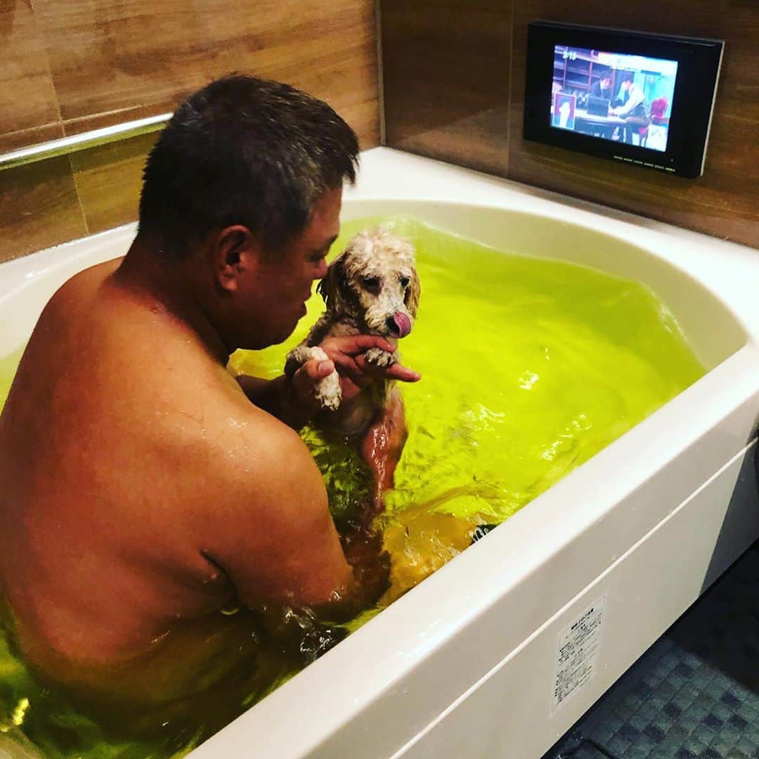 金村義明さんのインスタグラム写真 - (金村義明Instagram)「自宅戻ってアロンと風呂🛀」10月30日 15時53分 - yoshiaki_kanemura