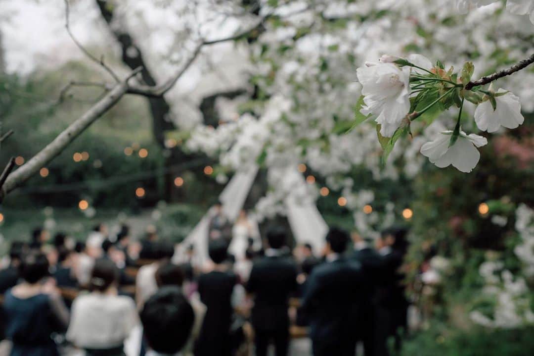 ラクラリエールのグルメインスタ