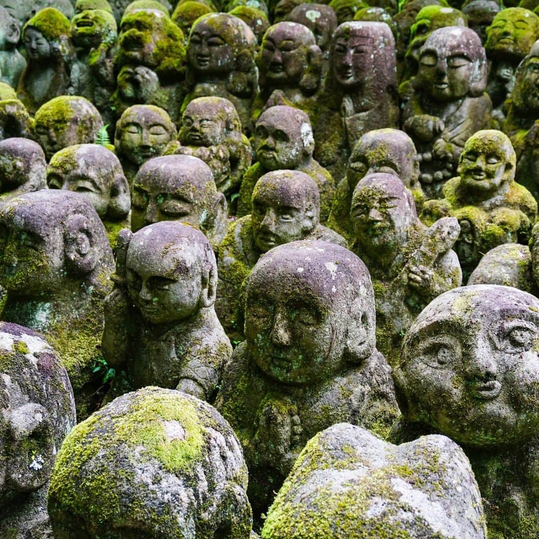 All Nippon Airwaysさんのインスタグラム写真 - (All Nippon AirwaysInstagram)「On your next Japan adventure, visit 1,200 unique "rakan" statues at the Otagi Nenbutsu-ji Temple. Which one resembles your personality the most? #OtagiNenbutsuji #DreamingOfJapan」10月30日 22時00分 - allnipponairways