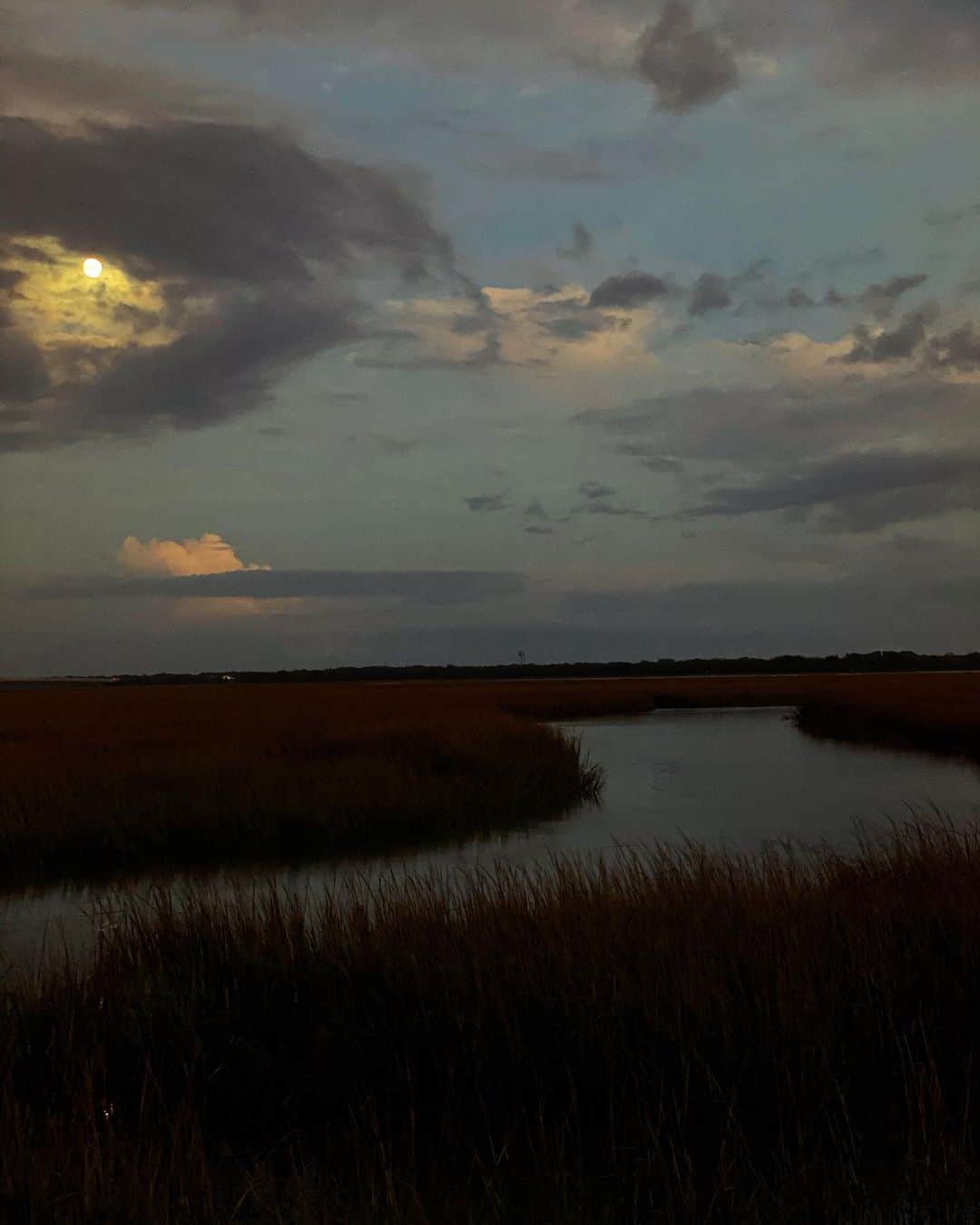 ミシェル・ブランチのインスタグラム：「Gorgeous evening watching the sunset and the (almost) full moon rise ✨」