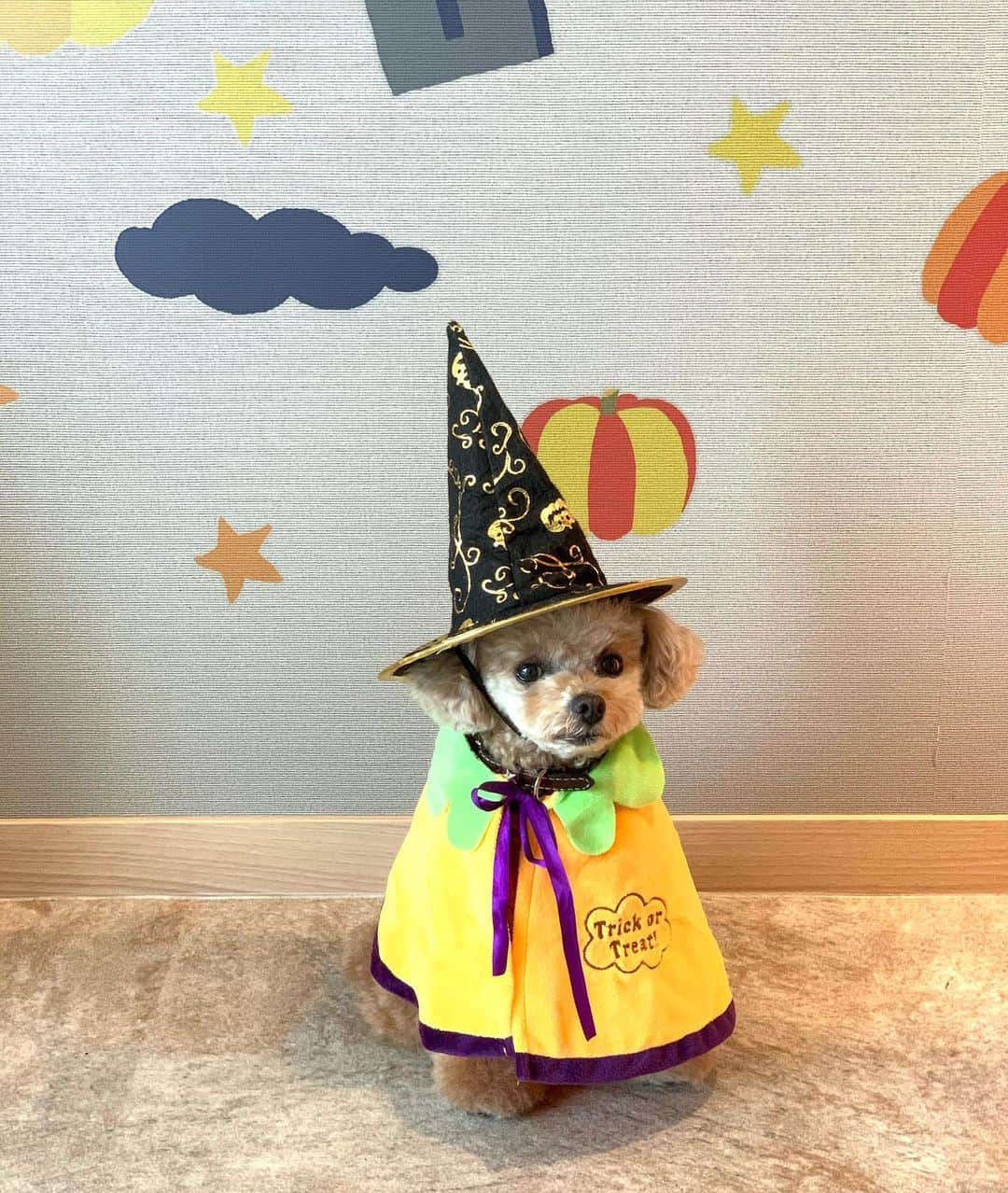 ❤︎Till❤︎のグルメインスタ