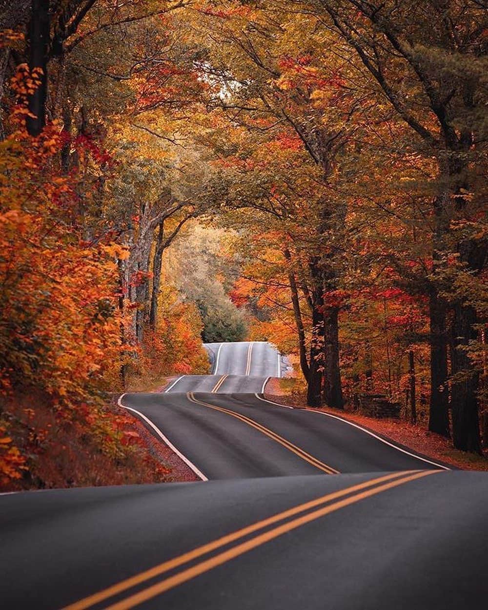 Canon Photographyさんのインスタグラム写真 - (Canon PhotographyInstagram)「The ultimate autumn series 🍂  Photography // @ryanresatka Curated by @steffeneisenacher  #newhampshire #autumn #roadsofinstagram #reflection #reflectionphotography」10月30日 17時15分 - cpcollectives