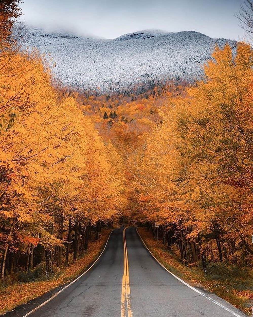 Canon Photographyさんのインスタグラム写真 - (Canon PhotographyInstagram)「The ultimate autumn series 🍂  Photography // @ryanresatka Curated by @steffeneisenacher  #newhampshire #autumn #roadsofinstagram #reflection #reflectionphotography」10月30日 17時15分 - cpcollectives