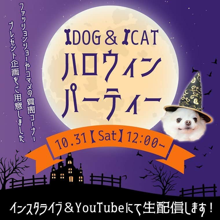 iDog&iCatのインスタグラム