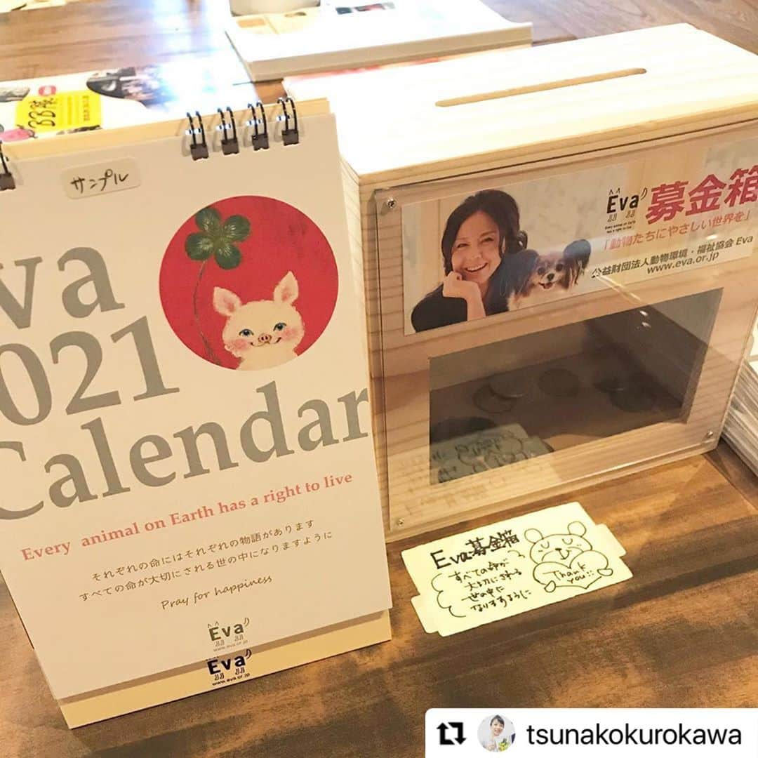 杉本彩さんのインスタグラム写真 - (杉本彩Instagram)「* *  #Repost @tsunakokurokawa with @make_repost ・・・ ミャウゼ@安楽寺  10月30日（金）31日（土）11月1日（日） 場所　🔸安楽寺　境内客殿『椛』 　　　🔸哲学の道沿いギャラリー『桜谷町47』 10時〜16時 猫の作品展示と販売をしております🐱💛  また、公益財団法人動物環境福祉協会Evaの募金箱も置かせて頂いております。  素敵な猫の作品がいっぱいです✨✨✨  そして安楽寺さんもとても素敵な場所です🍀  今日は帰り道に虹が出てました🌈✨  残すところあと2日🐈🐈 秋の京都、観光がてらぜひ〜🍁  #kyoto #京都 #住蓮山安楽寺 #安楽寺  #ミャウゼ #猫 #ねこ  #公益財団法人動物環境福祉協会eva  #すべての命が大切にされる世の中になりますように」10月30日 17時34分 - sugimoto_aya0719